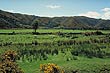 Rural Wainuiomata photo