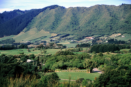 Rural Wellington photos