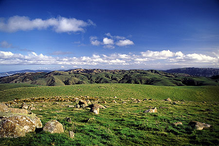 Rural Wellington photo