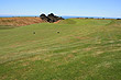 Cape Kidnappers Golf Course photo