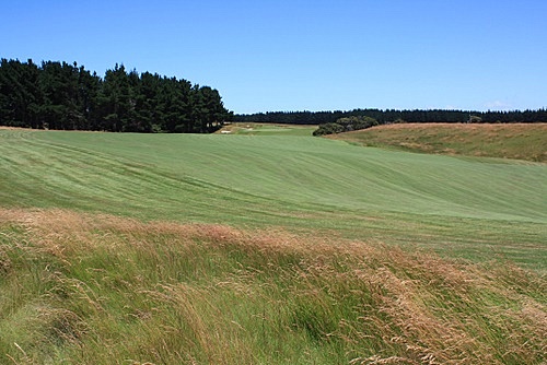 Waitangi Golf Course photo