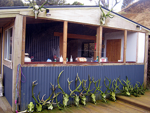 Hunting Hut and Trophies photo