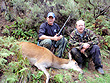 New Zealand Deer Hunting photo