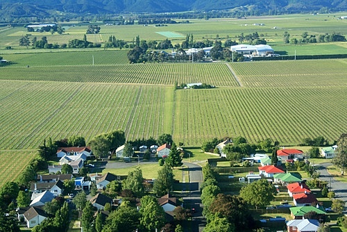 Aerial view of Blenheim photo