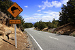 Ohakune Mountain Road photo