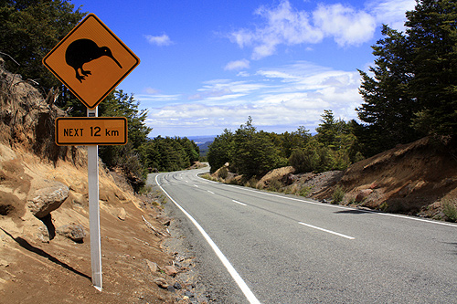 Mountain Road & Kiwi Sign photo