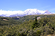 View of Mt Ruapehu photo
