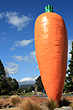 Giant Carrot Ohakune