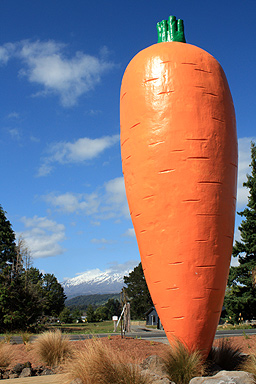 The Big Carrot in Ohakune photo