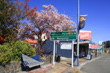 Ohakune Sign photo