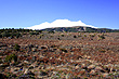 View of Mt Ruapehu photo