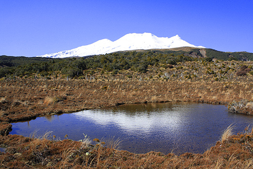 Ruapheu & Rotokawa Pools photo