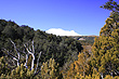 Waitonga Falls Track photo