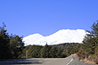 Ohakune Mountain Road photo