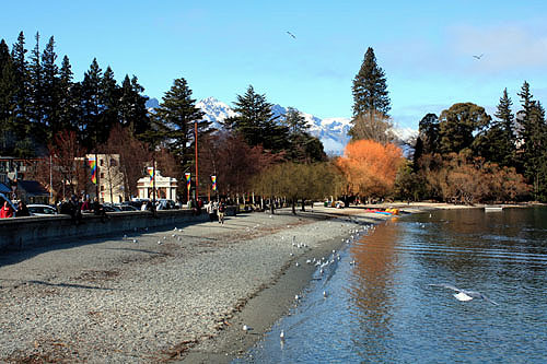 Autumn Colour on Lake Wakatipu photo