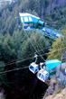 Queenstown Bungee photo