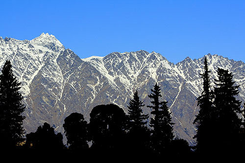 Remarkable Range and Trees photo