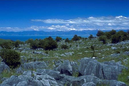 Takaka Hill photo