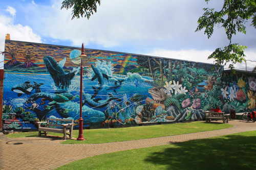 Small Park in Takaka photo