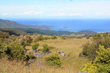 Takaka Hill photo