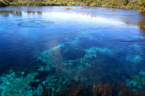 Spring at Te Waikoropupu Springs photo