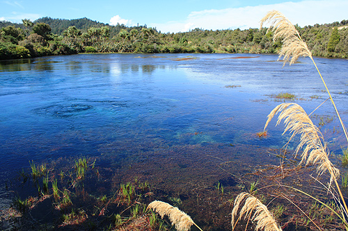 Te Waikoropupu Springs View photo