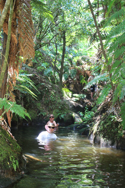 Thermal Stream in Taupo photo