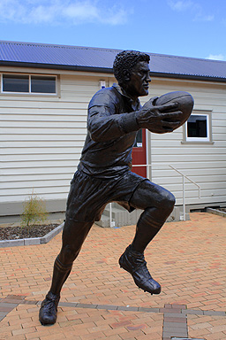 Statue of Colin Meads photo