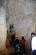 Waitomo Caves Visitors Centre photo