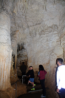 Waitomo Caves Te Kuiti photo