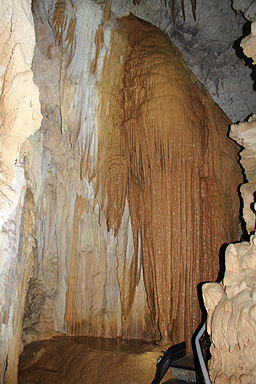 Stalagtites in Waitomo Caves photo