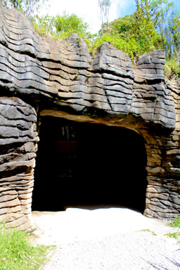 Ruakuri Cave Entrance photo