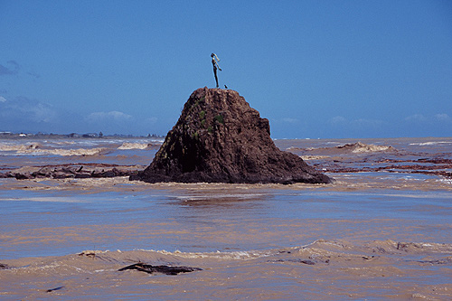 Statue of Wairaka photo