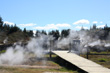 Fumerole Boardwalk photo