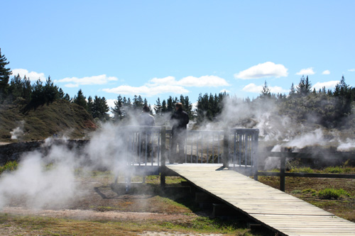 Boardwalk Platform photo