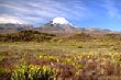 Mt Ngauruhoe photo