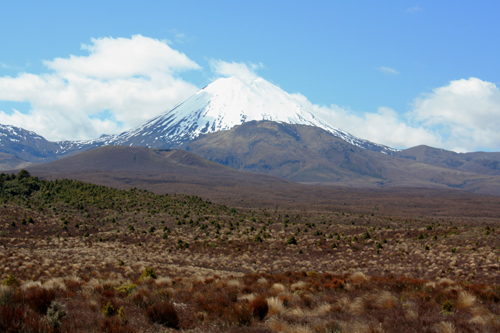 Tussock Plains and Mount Ngauruhoe photo