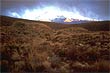 Ruapehu View photo