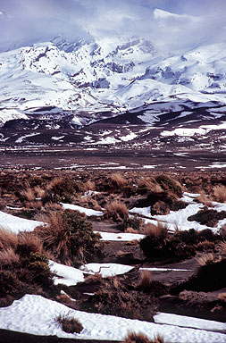 Mt Ruapehu & Rangipo Desert photo