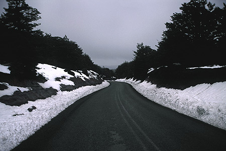 Ohakune Mountain Road photo