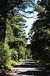 Ohakune Mountain Road photo