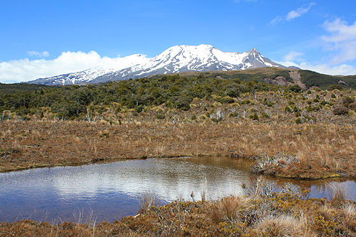 Alpine Tarn & Mt Ruapehu photo