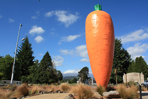 Ohakune Carrot photo