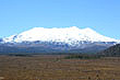 Mt Ruapehu Peak & Plain photo