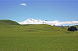 Lush Farmland Ruapehu photo