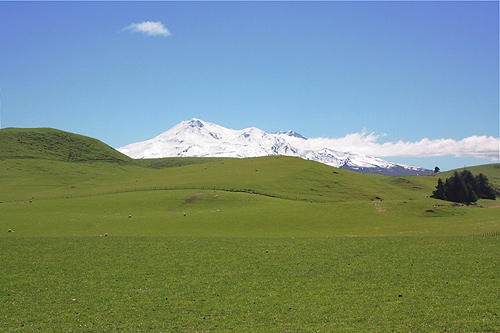 Lush Farmland and Mt Ruapehu photo