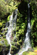 Waitonga Falls photo