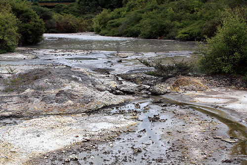 Puarenga Stream View photo