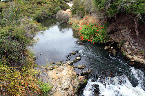 Puarenga Stream Te Puia photo