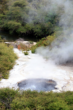 Fumerole at Te Puia photo